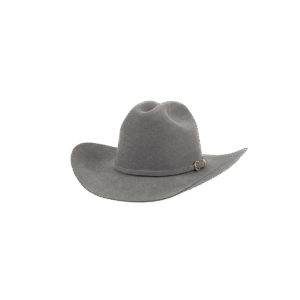 Sombrero Gris Oscuro
