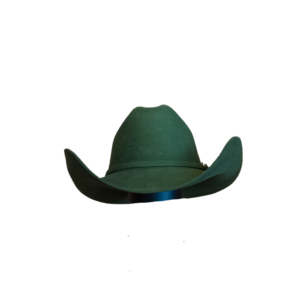Sombrero Verde Oscuro